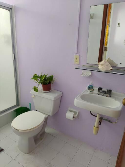 Coral Apartment แคนคูน ภายนอก รูปภาพ